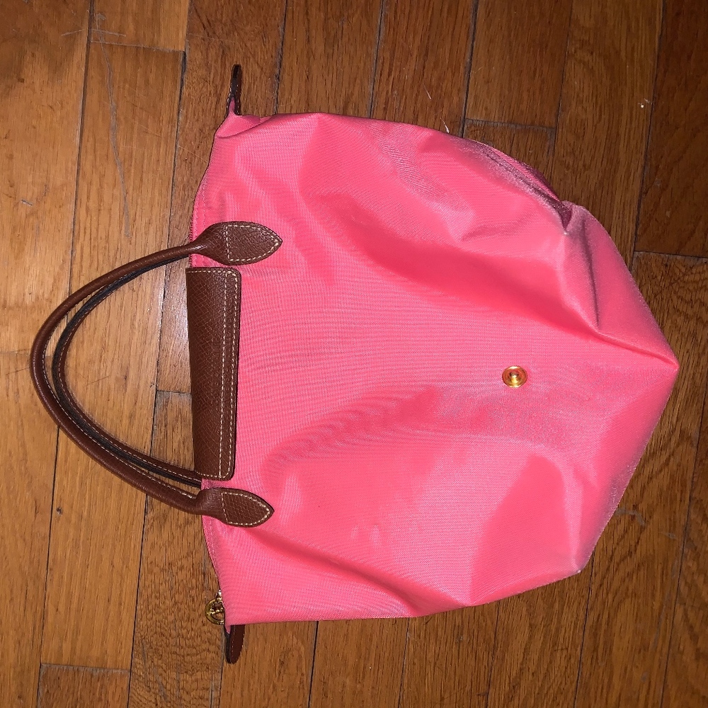 Mini Pink Long Champ